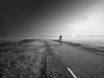 Radfahrer auf dem Deich