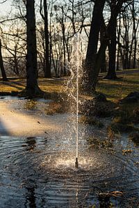 Springbrunnen und Bäume im Abendlicht 2