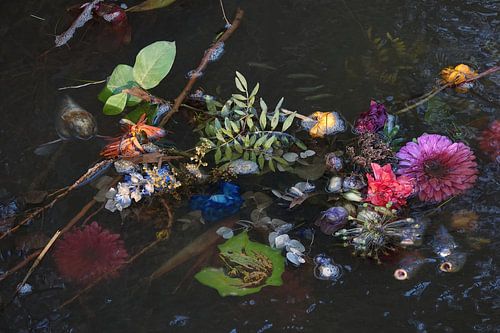 Veldbloemen in water