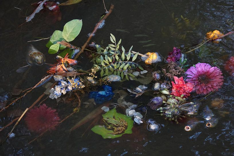 Field flowers in water by appie bonis