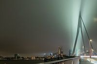 Ligne d'horizon et pont Erasmus Rotterdam