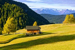 Auf der Seiser Alm