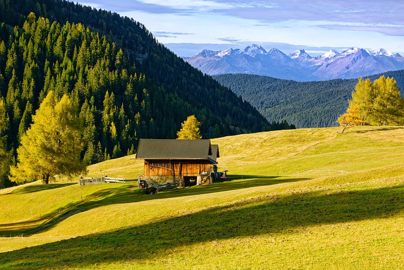 Auf der Seiser Alm von Gisela Scheffbuch