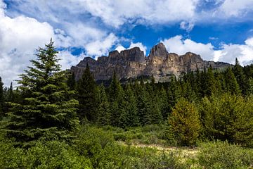 Castle Mountain in Banff National Park in de Rocky Mountains van Roland Brack