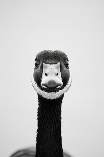 Goose by Poster Art Shop