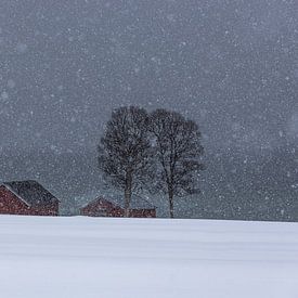 Red Cottage near the Fjord van Klaas Doting