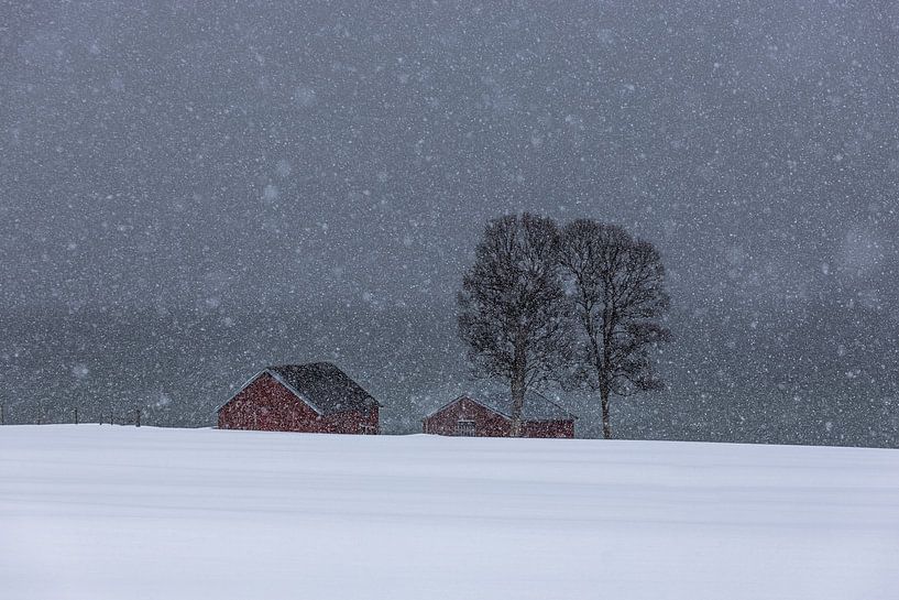 Red Cottage near the Fjord by Klaas Doting