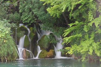 Green oasis
