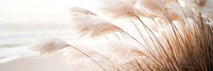 Poesie am Meer – Pampasgras im Detail