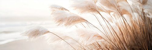 Poetry by the sea - Pampas grass in detail