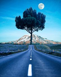 Moonlit Road to the Peaks by Berwies