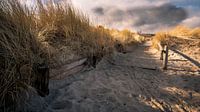 Naar het strand van Friedhelm Peters thumbnail