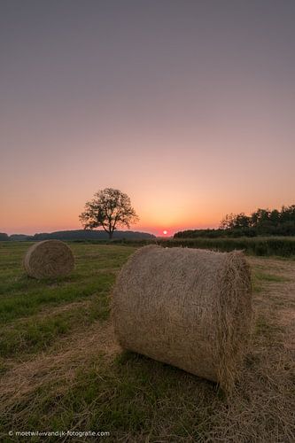 Hooirollen bij zonsondergang