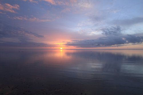 Ameland/Wad bij zonsondergang