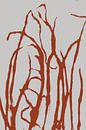 Modern Botanical art. Grass in terracotta no. 2 by Dina Dankers thumbnail