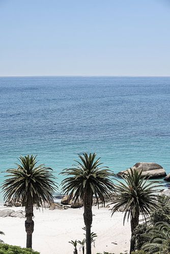 Tropische sereniteit