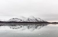 Svalbard 3 von Claudia van Zanten Miniaturansicht