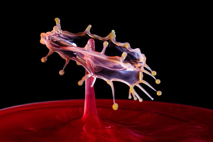 die wunderbare Welt der &quot;Splash-Fotografie&quot;.... von Patrick Wanders