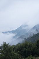 Wolken in den Bergen Südafrikas