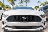 Het front van een Ford Mustang van Erik de Rijk thumbnail