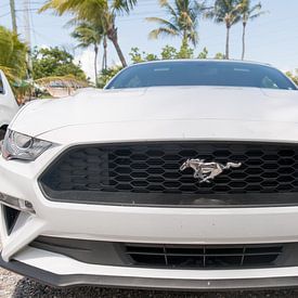 Het front van een Ford Mustang von Erik de Rijk