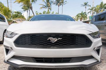 Het front van een Ford Mustang van Erik de Rijk