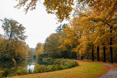 Landschap Boekesteijn