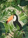 Jungle Toucan by Andrea Haase thumbnail