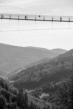 Brücke im Schwarzwald von Sijmen van Hooff