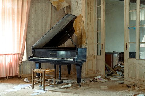 Wing in an abandoned villa