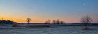 Tussen de maan en de zon