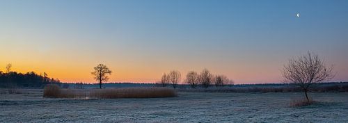 Zwischen dem Mond und der Sonne