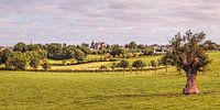 Ubachsberg van Rob Boon thumbnail