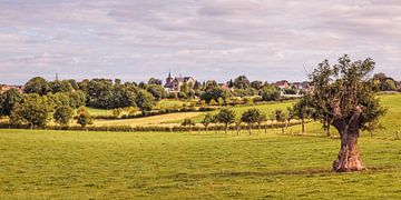 Ubachsberg von Rob Boon