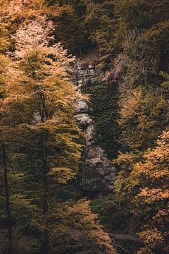 Gold and stone by Yorick De Wilde