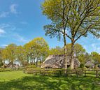 Boerderij tussen de bomen, Diever, , Drenthe van Rene van der Meer thumbnail