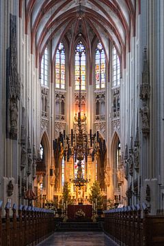 Verlichting in de Sint-Janskathedraal in Den Bosch. Bijvoorbeeld op Metal, aluminium, acryl. van Josine Claasen