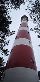 Bornrif vuurtoren Ameland by Willie Kamminga