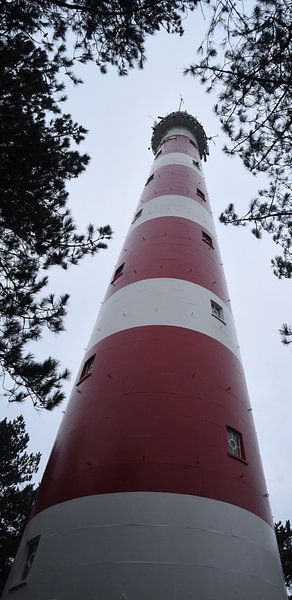 Bornrif vuurtoren Ameland von Willie Kamminga