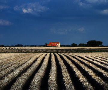 Friesische Landschaft von Harrie Muis