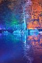 Park lights Gruga by Andreas Muth-Hegener thumbnail