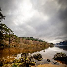 Jubilee Point, Loch Eck von Joy of Light Photography