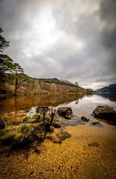 Jubilee Point, Loch Eck von Joy of Light Photography