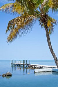 FLORIDA KEYS Traumhafte Aussicht  von Melanie Viola