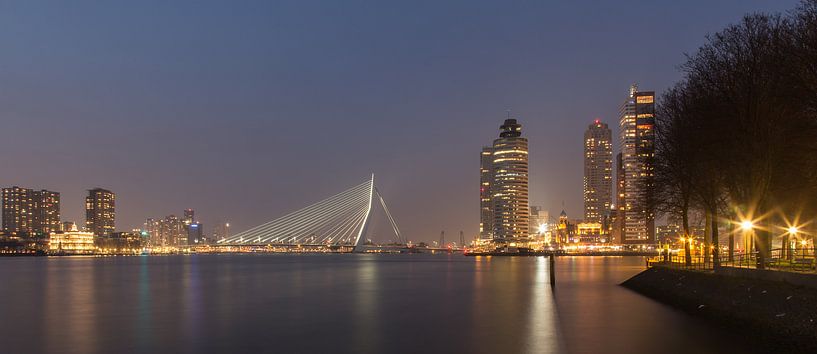 Zicht op Erasmusbrug en kop van Zuid in Rotterdam. van Arjan van Dam