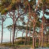 Abendstimmung am Weststrand von Steffen Gierok