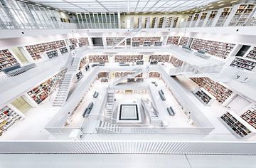 Bibliotheek van Dennis Evertse