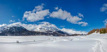 Dicht gevroren en besneeuwd Silvaplanersee,  Piz Albana, Surlej - Silvaplana, Oberengadin, Zwitserland van Rene van der Meer