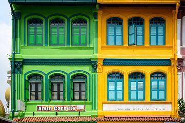 Grünes und gelbes Haus von Frank's Awesome Travels