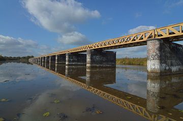 Moerputtenbrug bij den Bosch van Patrick Verhoef